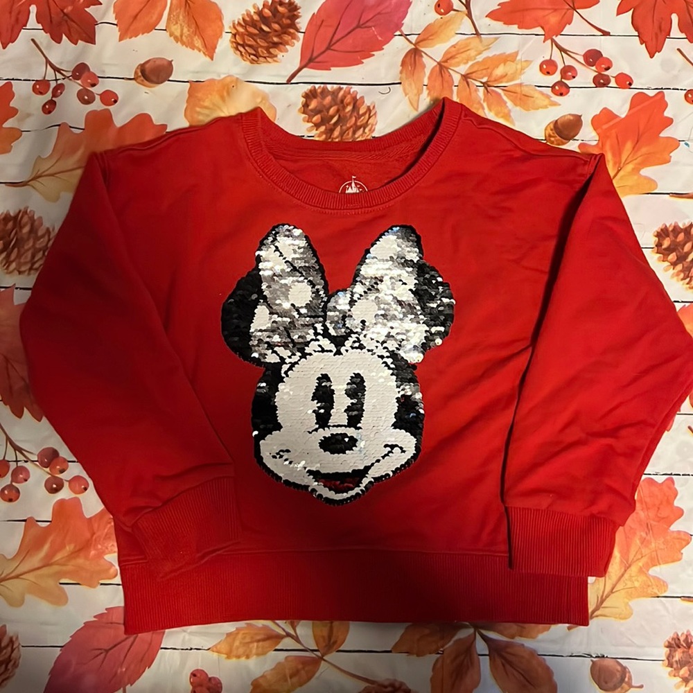 Minnie Mouse sweatshirt